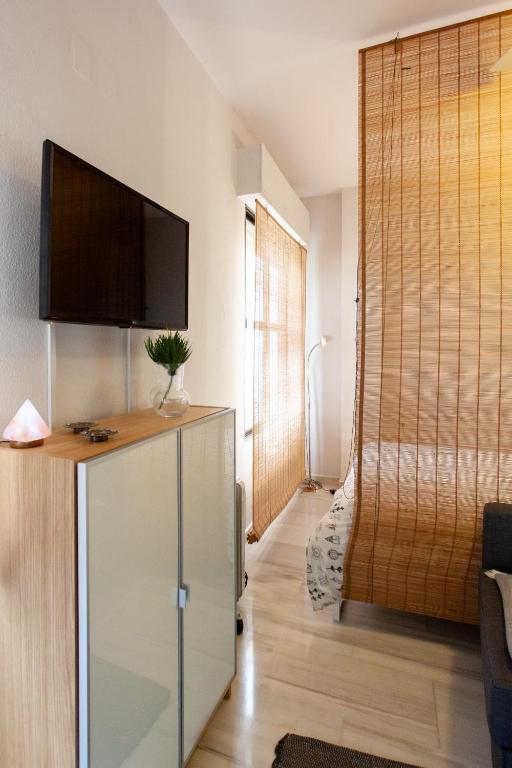 Televízia a/alebo spoločenská miestnosť v ubytovaní PIKIS Apartment center 1