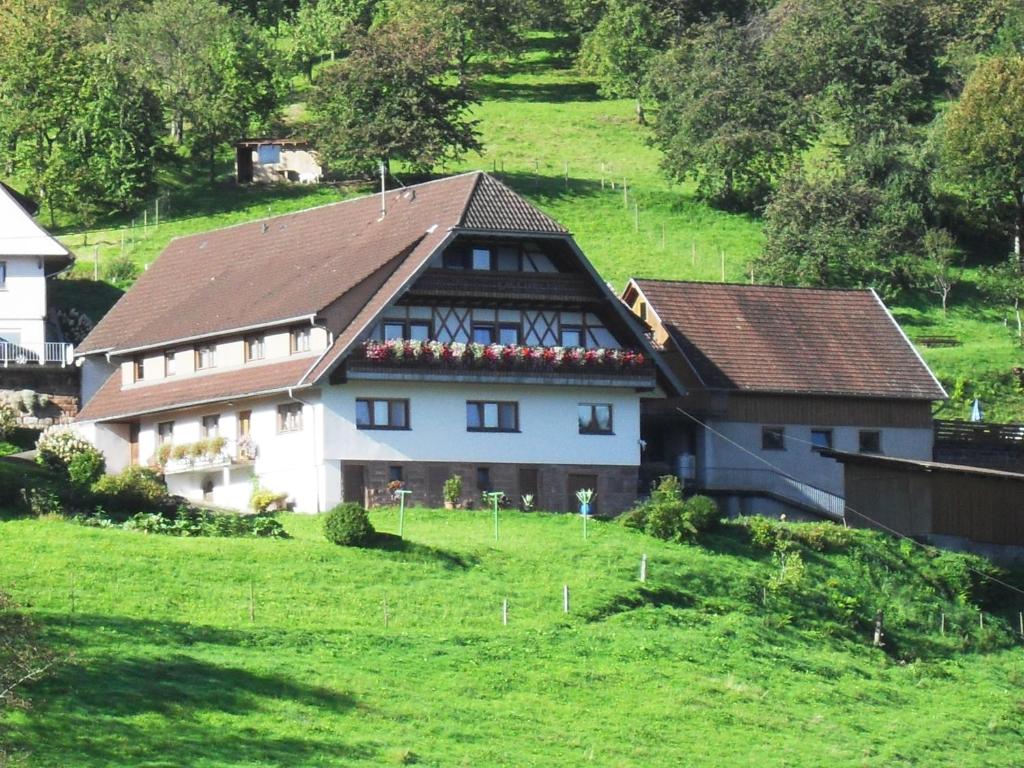 ein Haus auf einem Hügel mit einem grünen Feld in der Unterkunft Ferienhof Brutoni in Bad Peterstal-Griesbach
