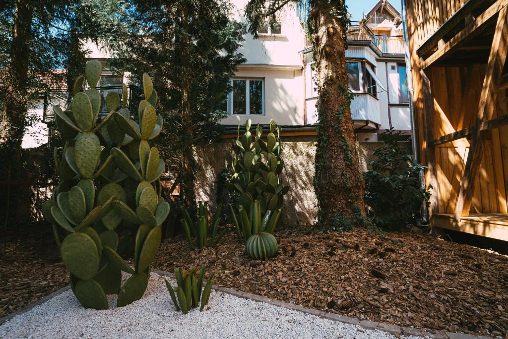 Domaine Bohème I art de vivre – photo 41