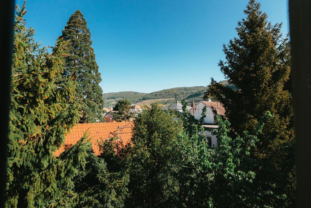 Domaine Bohème I art de vivre – photo 39
