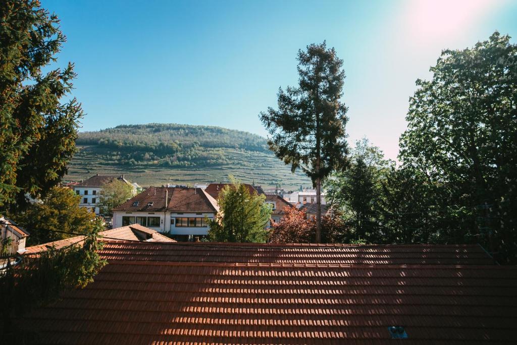 Domaine Bohème I art de vivre – photo 20