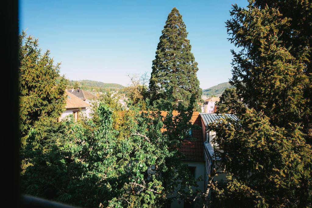 Domaine Bohème I art de vivre – photo 60
