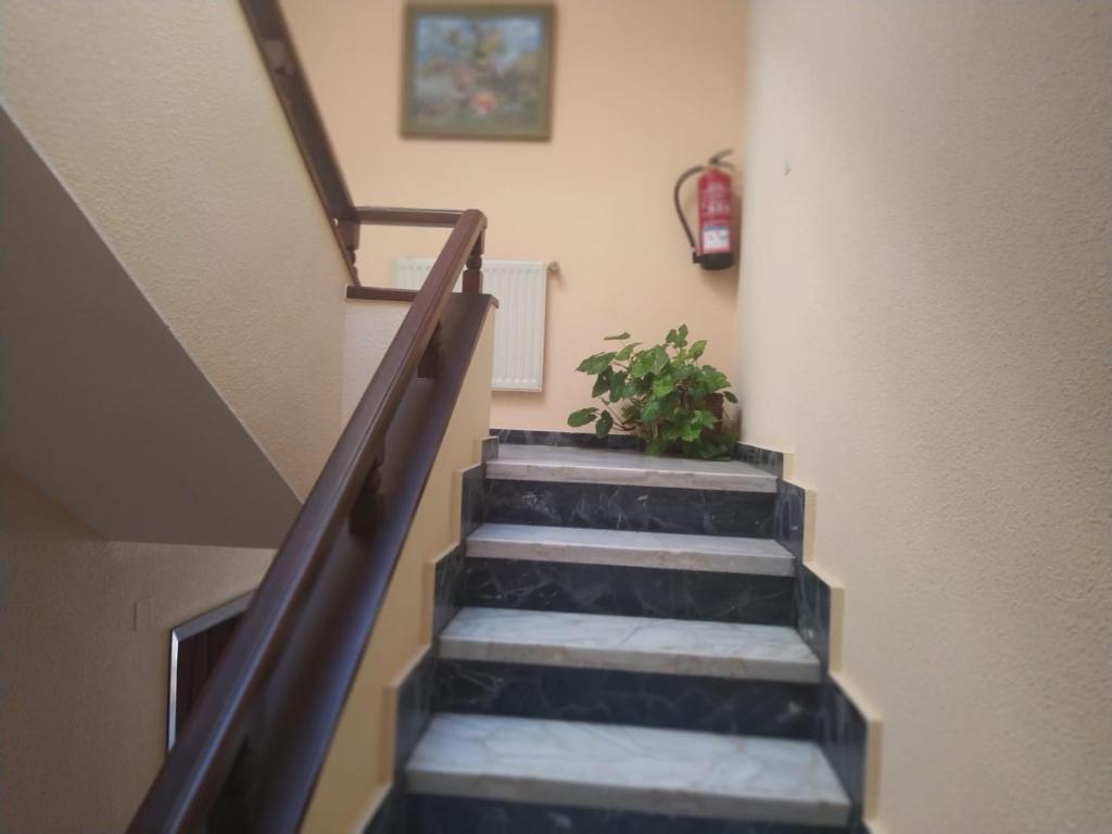 Kép Casa Sopeña szállásáról Llanesben a galériában