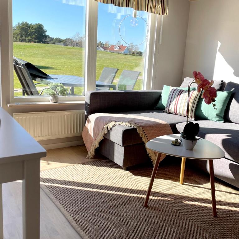 圖默利拉的住宿－Lilla Paradiset，带沙发、桌子和窗户的客厅
