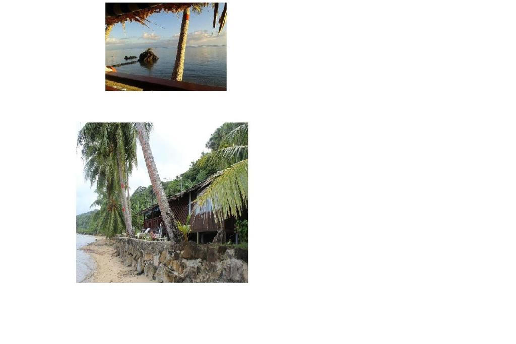 a collage of photos of a beach and a palm tree at Pension Te Nahetoetoe in Parea