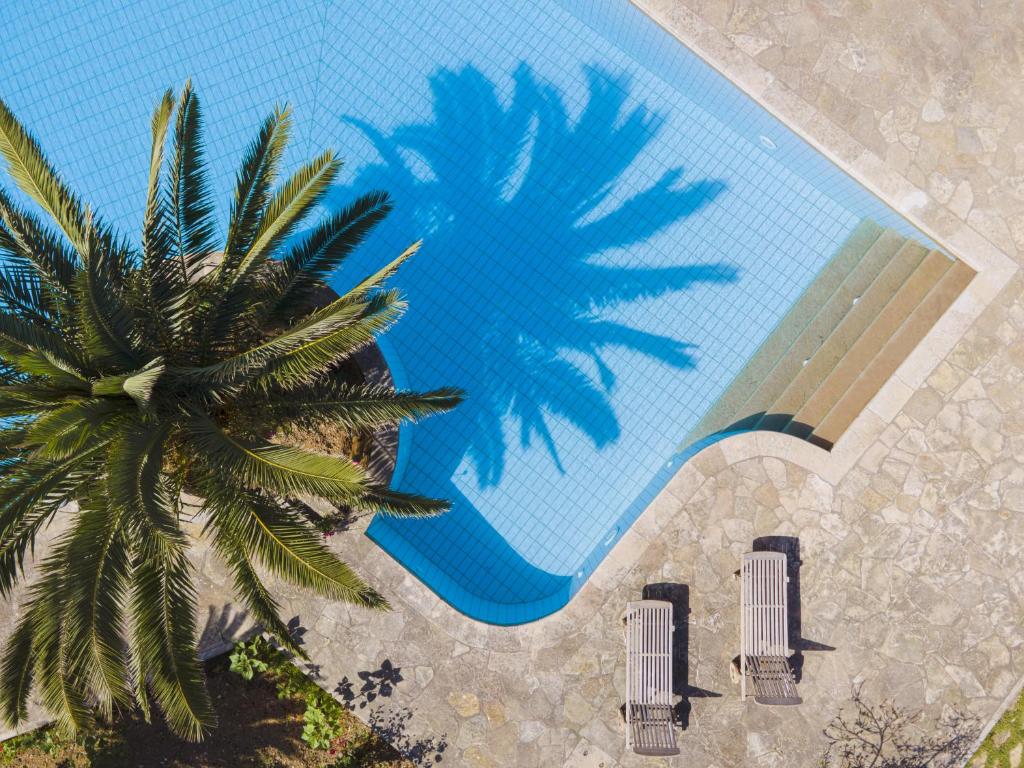 an overhead view of a palm tree and a swimming pool at Samos Wine Factory Guesthouse Villa in Karlovasi