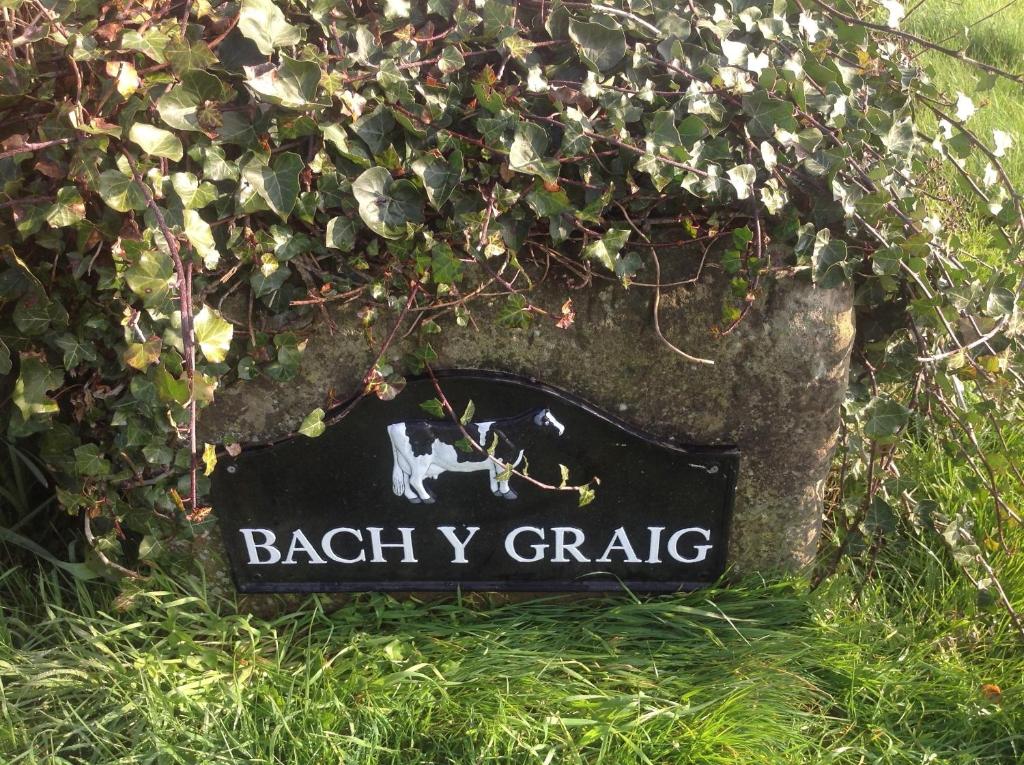 Bach y Graig