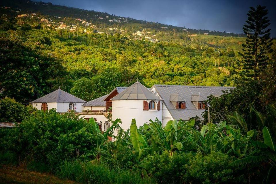 a white house with a mountain in the background at Ferme Equestre des Avirons in Les Avirons