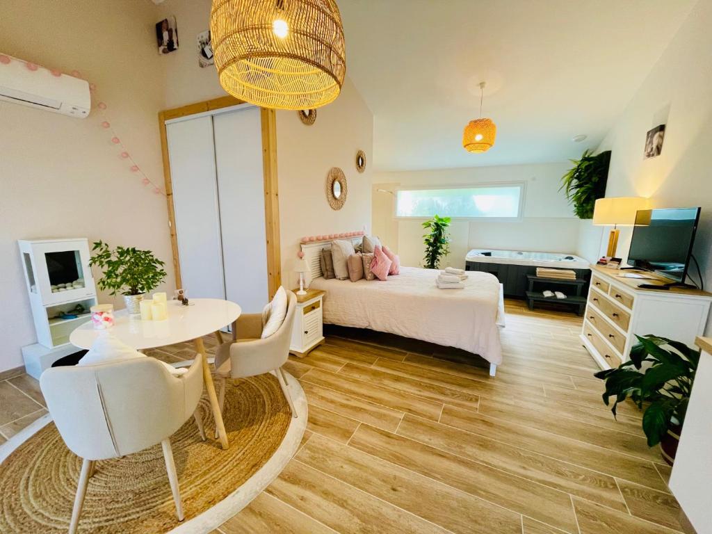 een slaapkamer met een bed, een tafel en een televisie bij Les Jardins du Castelas - Domaine et Spas in Uchaux