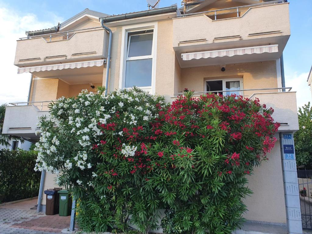 un gran arbusto de flores frente a una casa en Apartments Zoretic, en Malinska