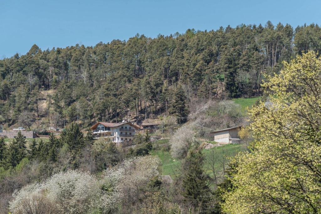 Příroda nedaleko apartmánu