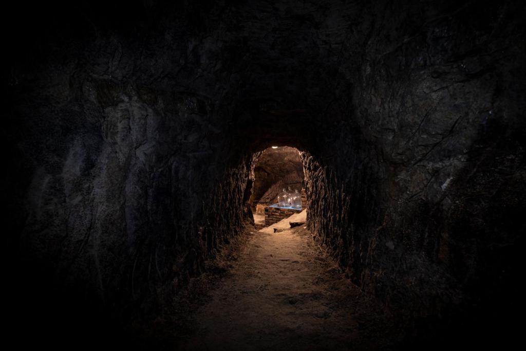 Fotografie z fotogalerie ubytování Vinařství Herůfek v Zaječí