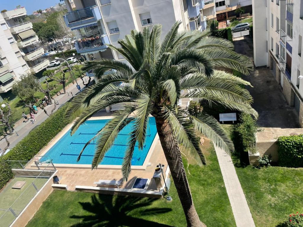 an overhead view of a palm tree and a swimming pool at Apartamento Paris in Salou