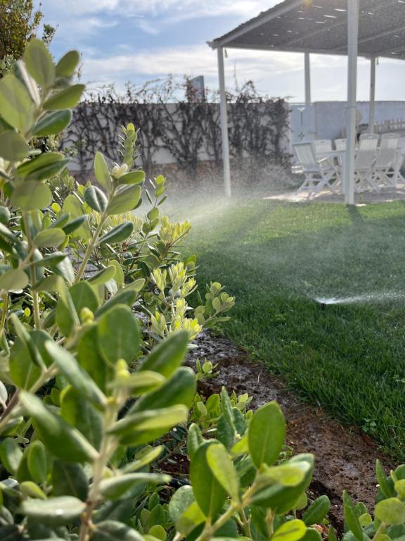 un jardín con un sprinkleracistacista en VILLA GIORGIA, en Savelletri di Fasano