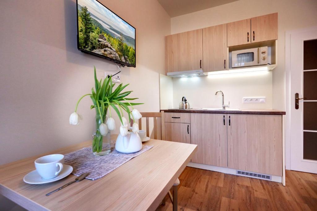 Kuchyň nebo kuchyňský kout v ubytování Apartmány Tatra