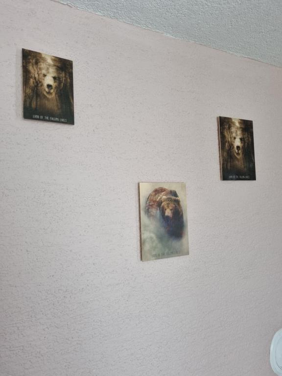 Apartments Luka - 18