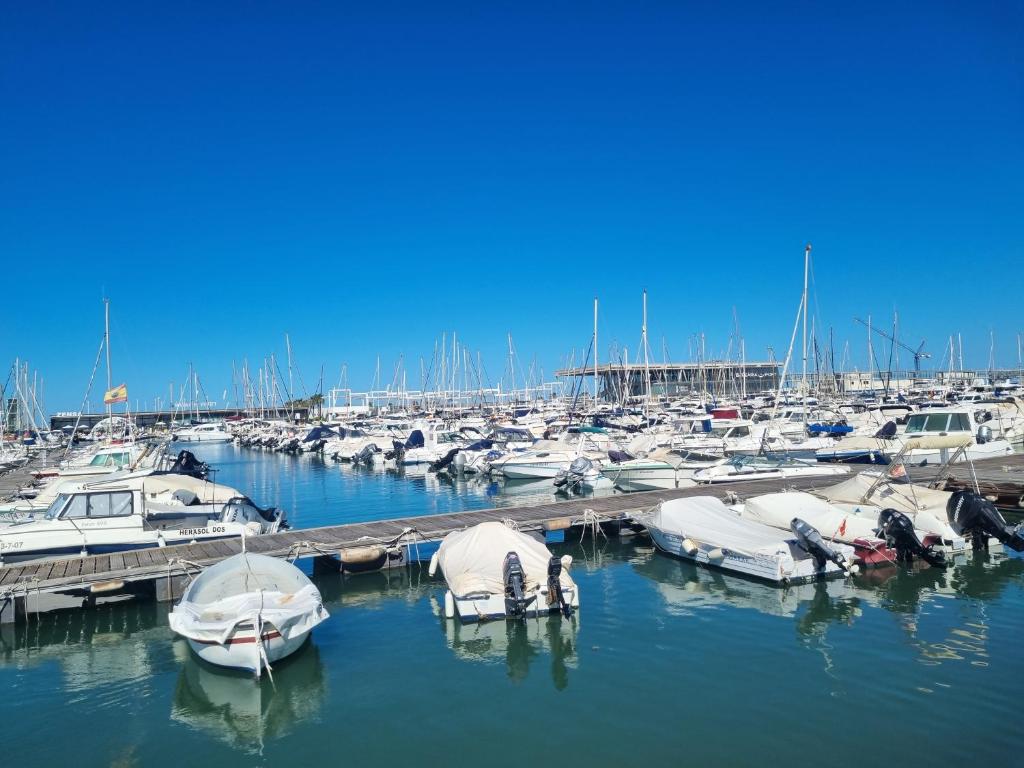 Apartamentos en Denia frente al Puerto!, Denia – Precios ...