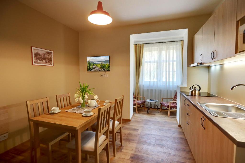 Kuchyň nebo kuchyňský kout v ubytování Apartmány Tatra