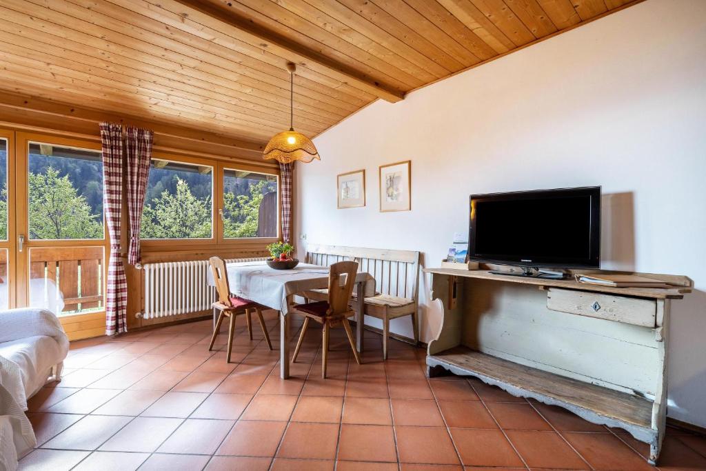 Televízia a/alebo spoločenská miestnosť v ubytovaní Mayrhof Apartment Tanne