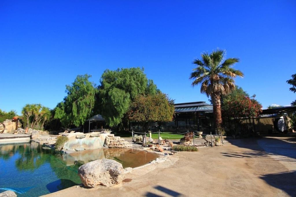 einem Wasserpool mit einer Palme und einem Gebäude in der Unterkunft Villa Diana in Merine