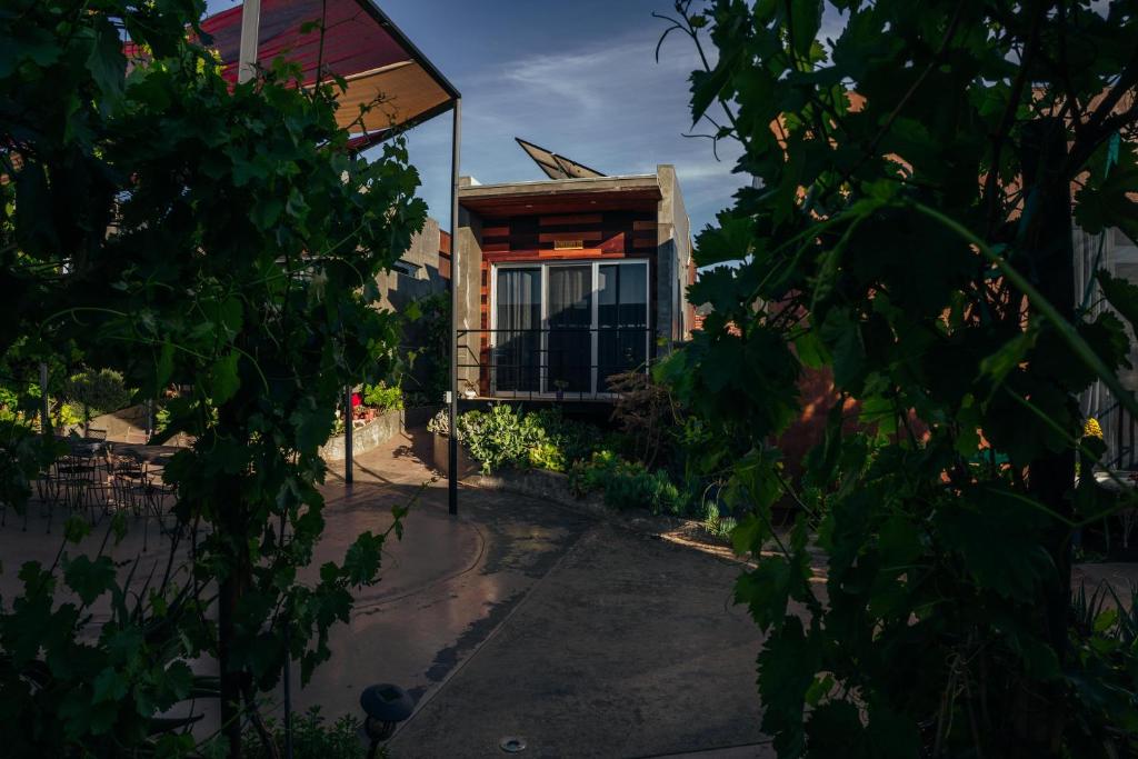 Zahrada ubytování Entre Vides Valle de Guadalupe