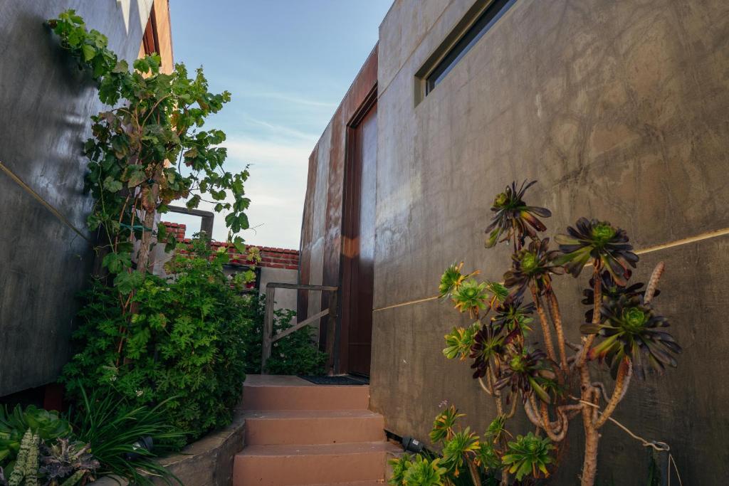 Fotografie z fotogalerie ubytování Entre Vides Valle de Guadalupe v destinaci Valle de Guadalupe