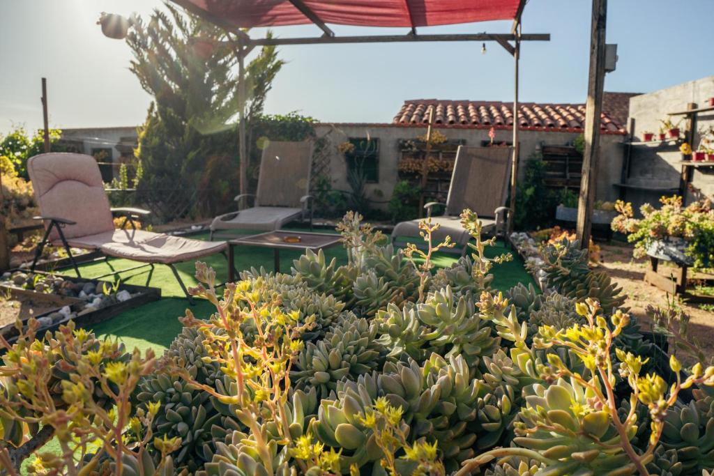 Zahrada ubytování Entre Vides Valle de Guadalupe