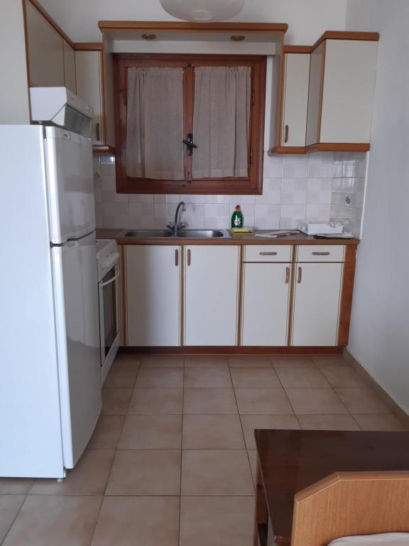Kuchyň nebo kuchyňský kout v ubytování Zaga Apartments - Flats
