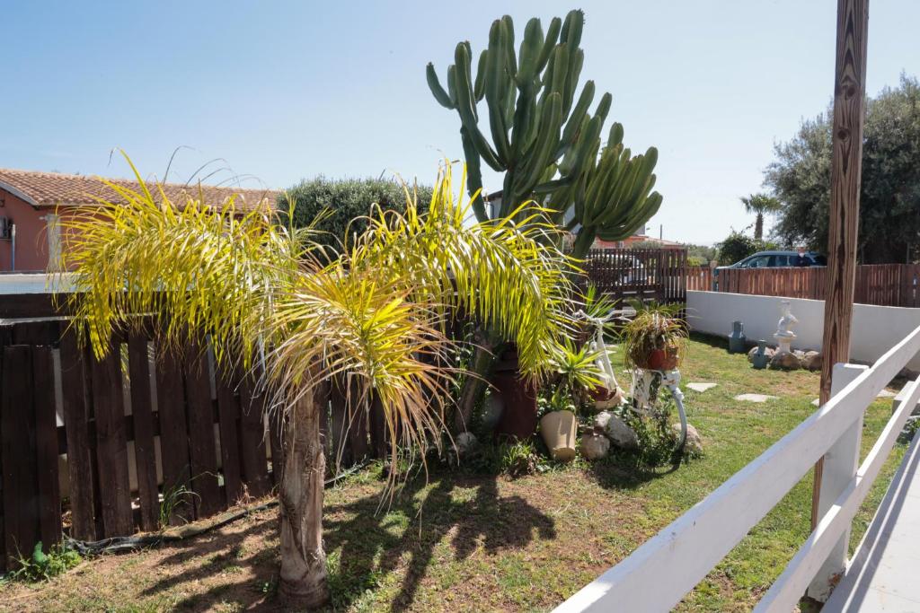 A garden outside Villa Bella