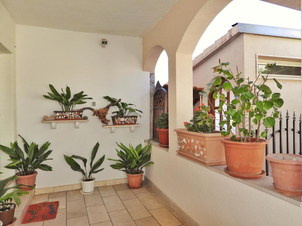 a hallway with potted plants on the wall at Apartmani Robert in Bol