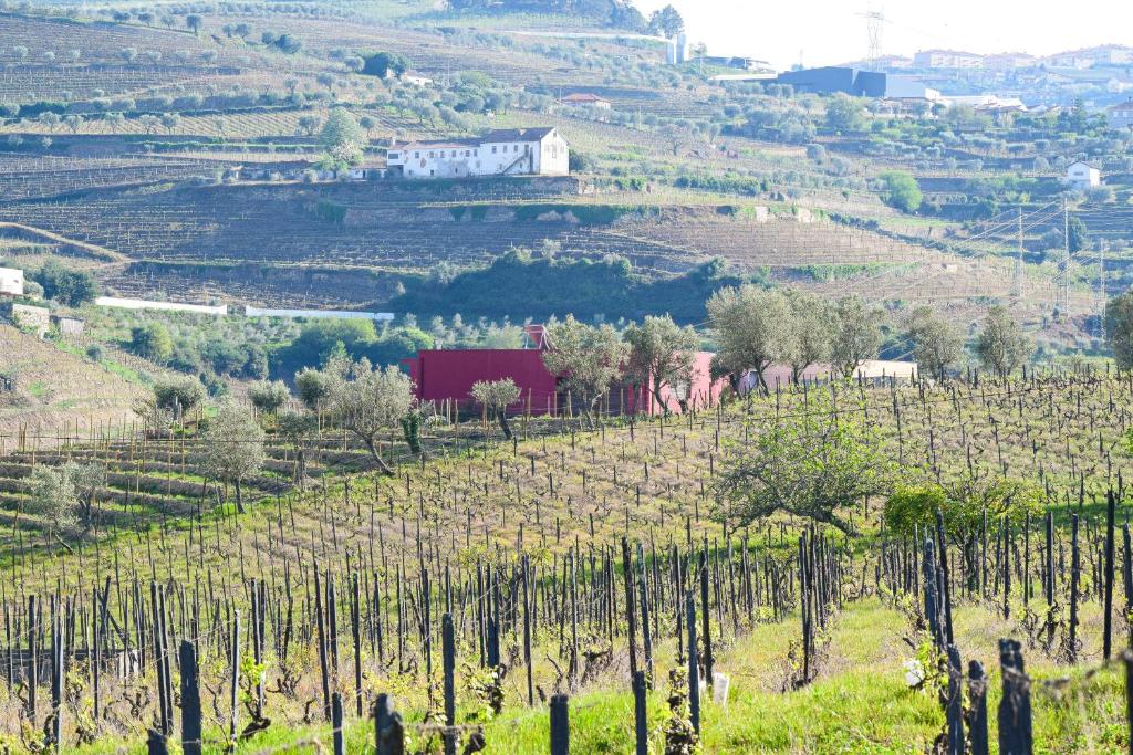 a vineyard on a hill with a farm in the background at Quinta dos Padrinhos - Suites in the Heart of the Douro in Lamego