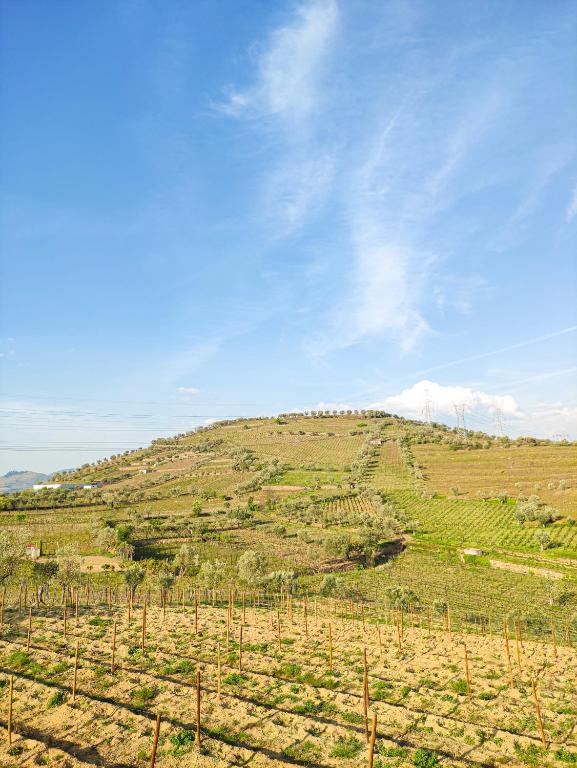 a vineyard on a hill with a blue sky at Quinta dos Padrinhos - Suites in the Heart of the Douro in Lamego