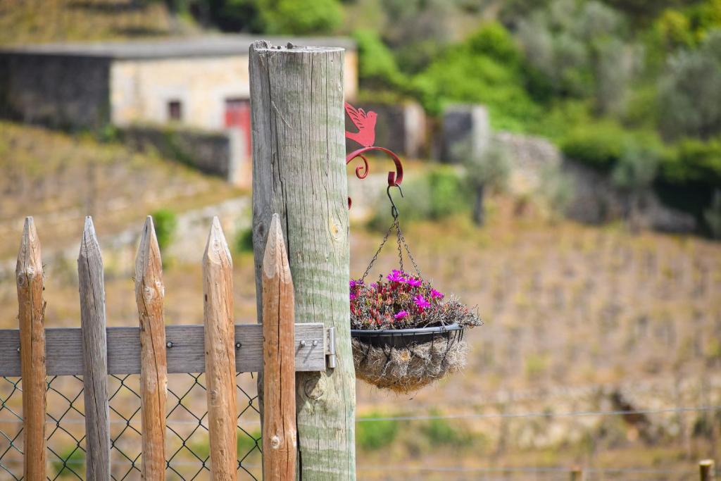 a hanging basket of flowers on a fence at Quinta dos Padrinhos - Suites in the Heart of the Douro in Lamego