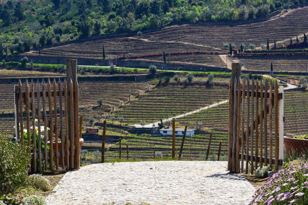 a wooden gate in a field with a dirt road at Quinta dos Padrinhos - Suites in the Heart of the Douro in Lamego