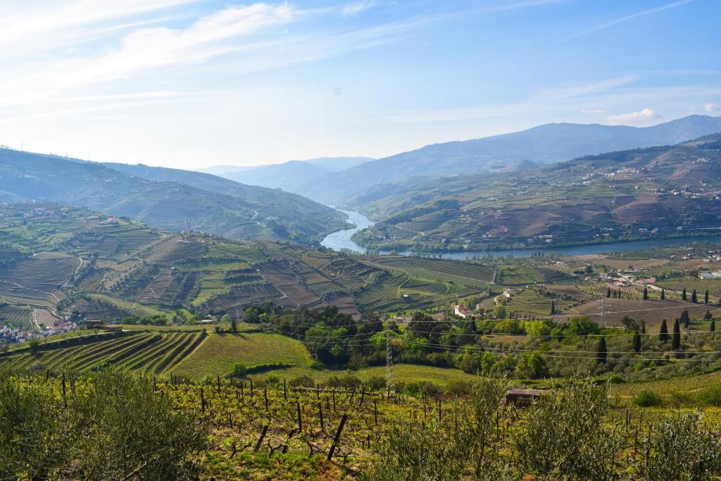 a view of a valley with a river and mountains at Quinta dos Padrinhos - Suites in the Heart of the Douro in Lamego