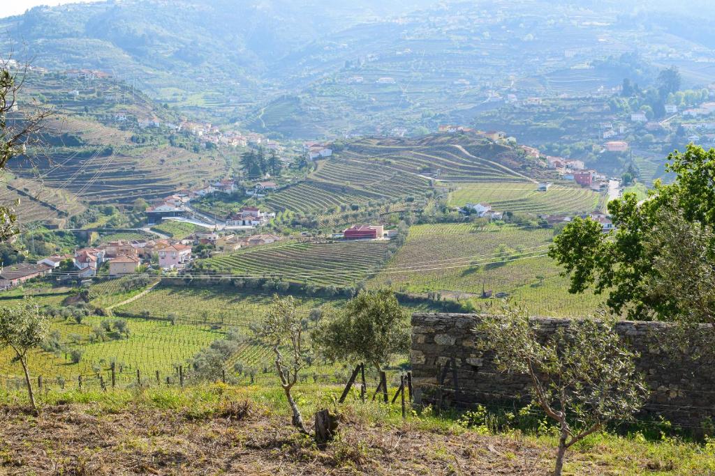 auliculiculiculiculiculiculiculiculiculiculiculiculiculiculic at Quinta dos Padrinhos - Suites in the Heart of the Douro in Lamego