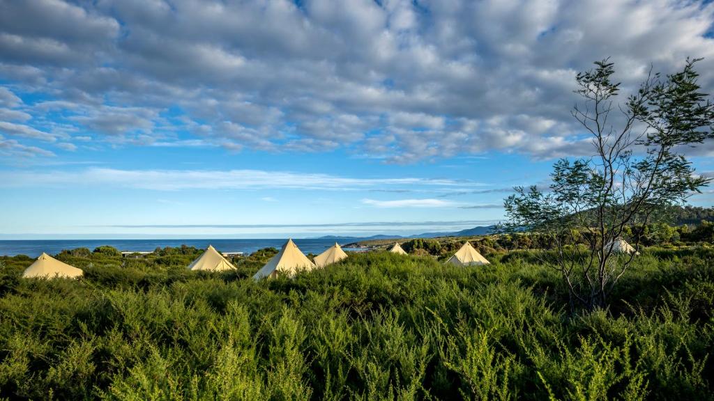 Příroda nedaleko luxury tent