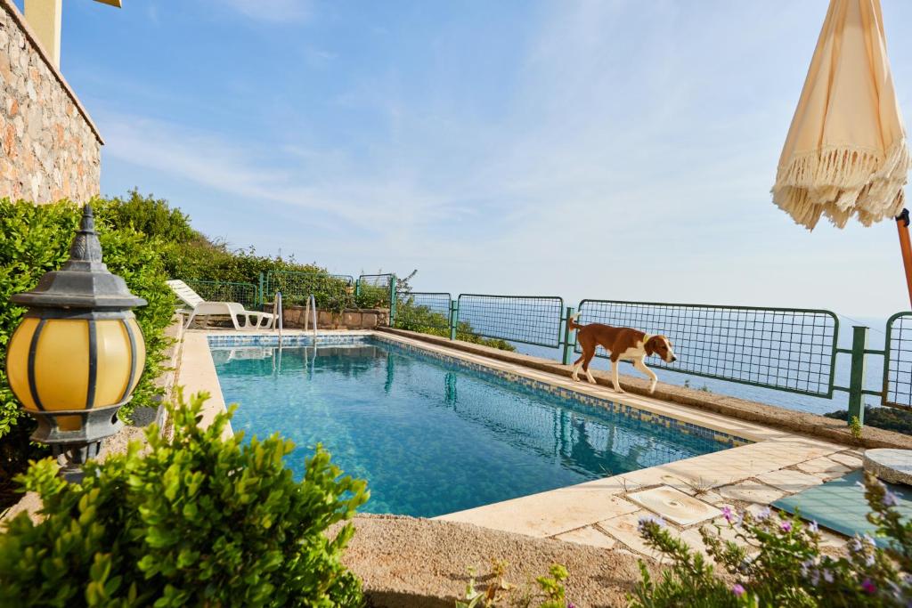 Вилла Summer House & Swimming Pool (Черногория Кримовица)