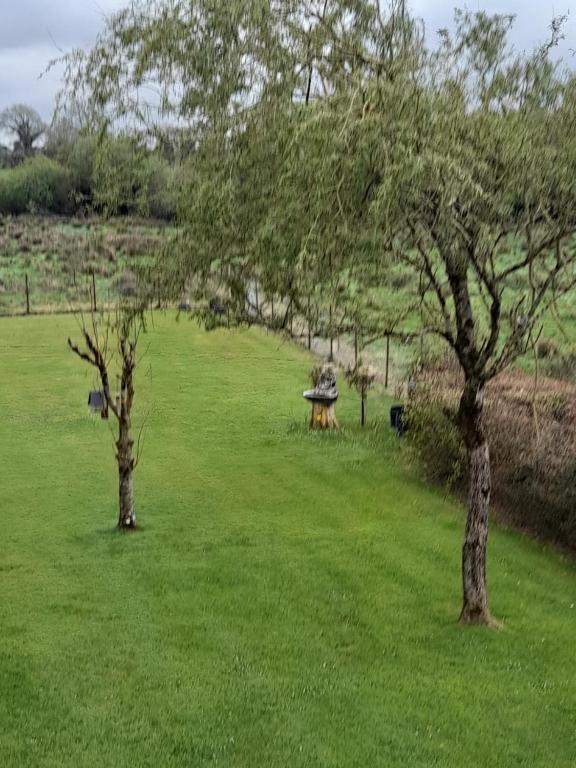 Giardino di Cloghan Lodge
