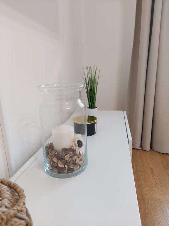 Zwierzęta zatrzymujące się w obiekcie Alföldi Palace Apartman