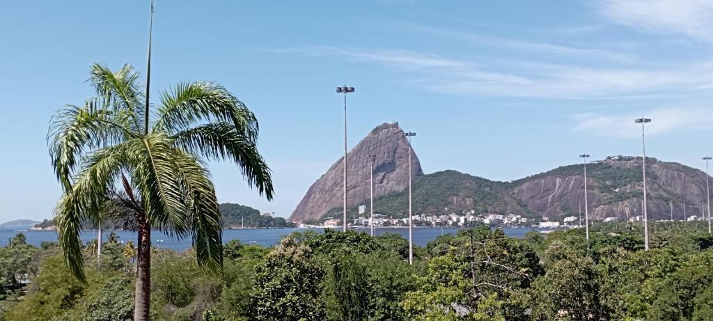 uma palmeira em frente a uma montanha em #Apartamento aconchegante no Flamengo - RIO no Rio de Janeiro