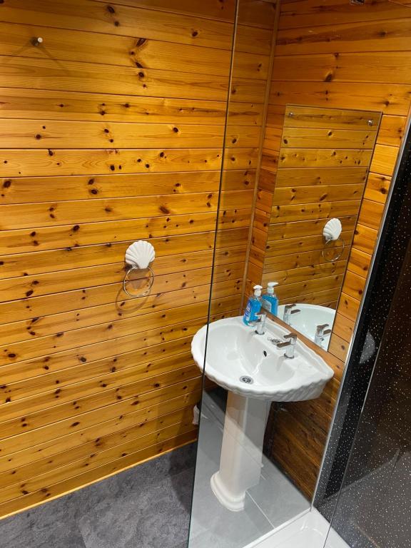 Koupelna v ubytování Snowdonia cabin