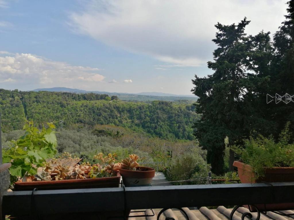 balcón con macetas y vistas a las montañas en Appartamento in collina a 15 minuti dal mare, en Riparbella