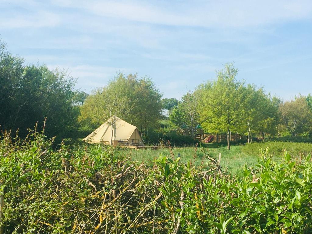 ein großes Zelt auf einem Feld mit Bäumen und Gras in der Unterkunft Le Petit Chaumont Ecolodge in Chaumont