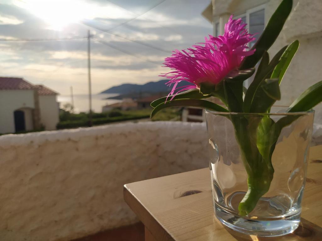 a vase with a pink flower sitting on a table at Apartament Port de la Selva in Port de la Selva