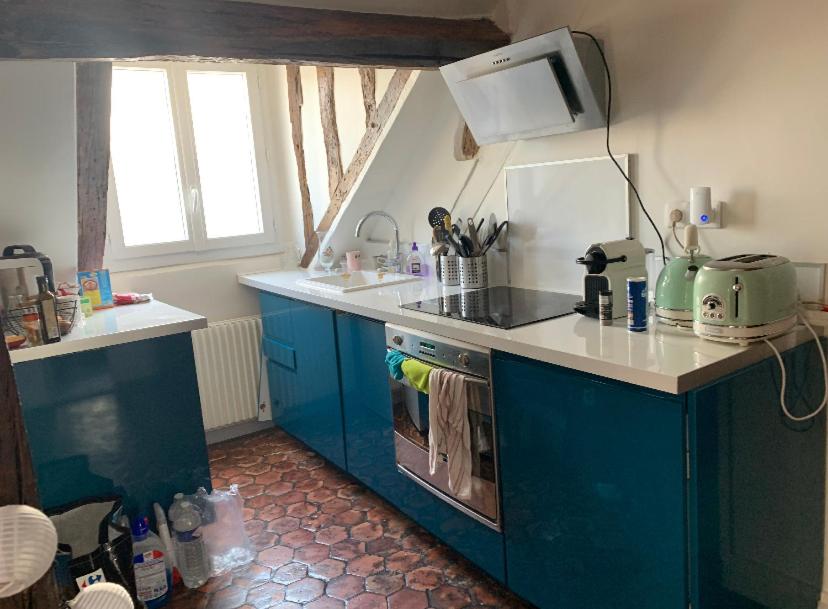 a kitchen with blue cabinets and a stove top oven at Cosy appartement quartier Latin Rue Mouffetard in Paris