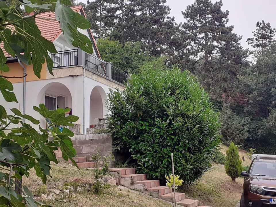 Ogród w obiekcie Holiday home in Balatongyörök 42694