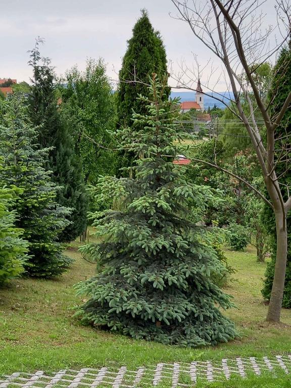 Ogród w obiekcie Holiday home in Balatongyörök 42694