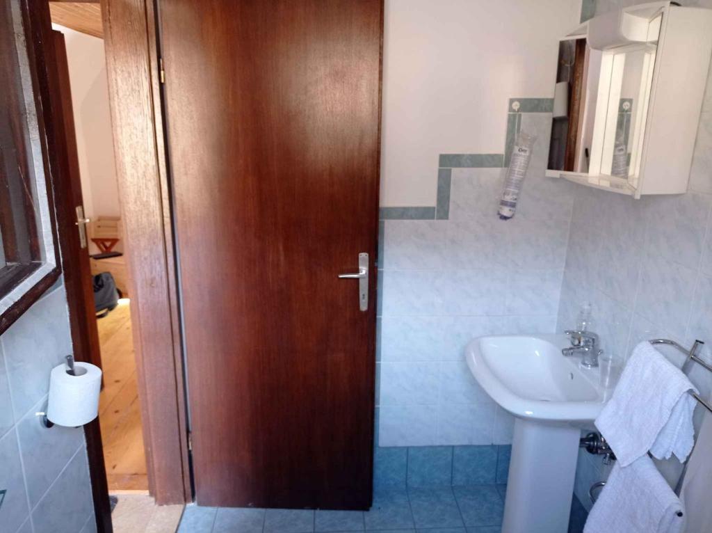 ein Badezimmer mit einer Holztür und einem Waschbecken in der Unterkunft Holiday home in Fuzine 42639 in Fužine