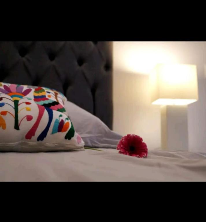 BRAND NEW APARTMENT NEAR DOWNTOWN COYOACÁN!, Mexico City (updated